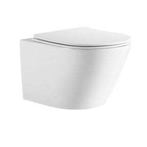 Унитаз Aquatek ЛИБЕРТИ подвесной с сиденьем с микролифтом, белый AQ1999T-00