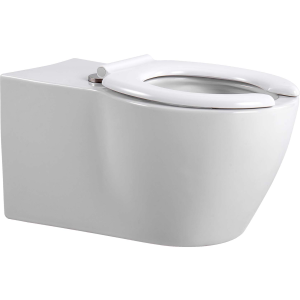 Унитаз AQUATEK подвесной, для людей с ограниченными возможностями (AQ2212-00)